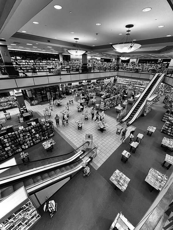 Shopping Assistance